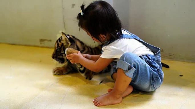 亚洲可爱的女婴和小老虎一起享受。