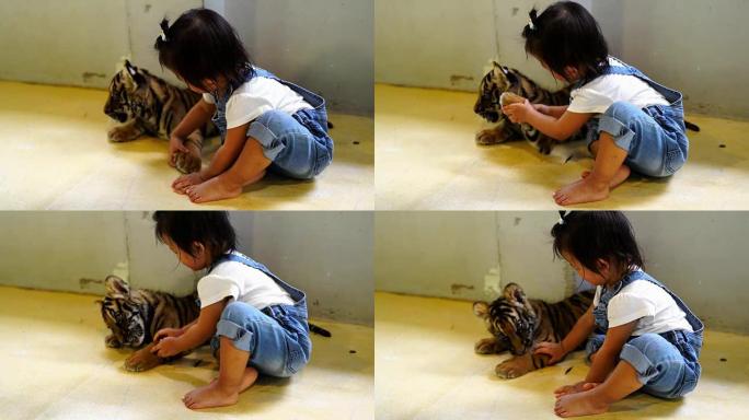 亚洲可爱的女婴和小老虎一起享受。