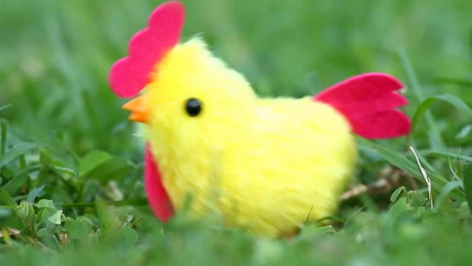 人缠绕鸡肉玩具，它在草地上摇晃或跳舞。