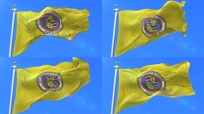 美国檀香山市的旗帜-loop