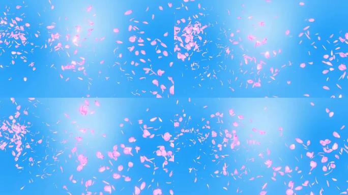 樱花花瓣落在蓝色背景上，循环闪光动画，