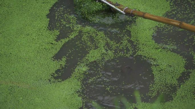 下雨天工人清理河道水草