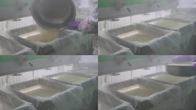 豆腐制作 车间 企业 绿色生产 乐都区