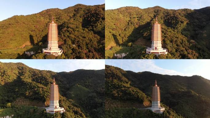 航拍深圳仙湖植物园弘法寺