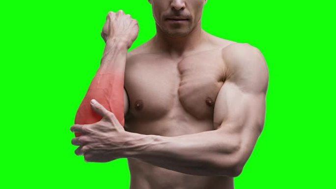 肘部疼痛，绿色背景上肌肉发达的男性身体，色键4k视频