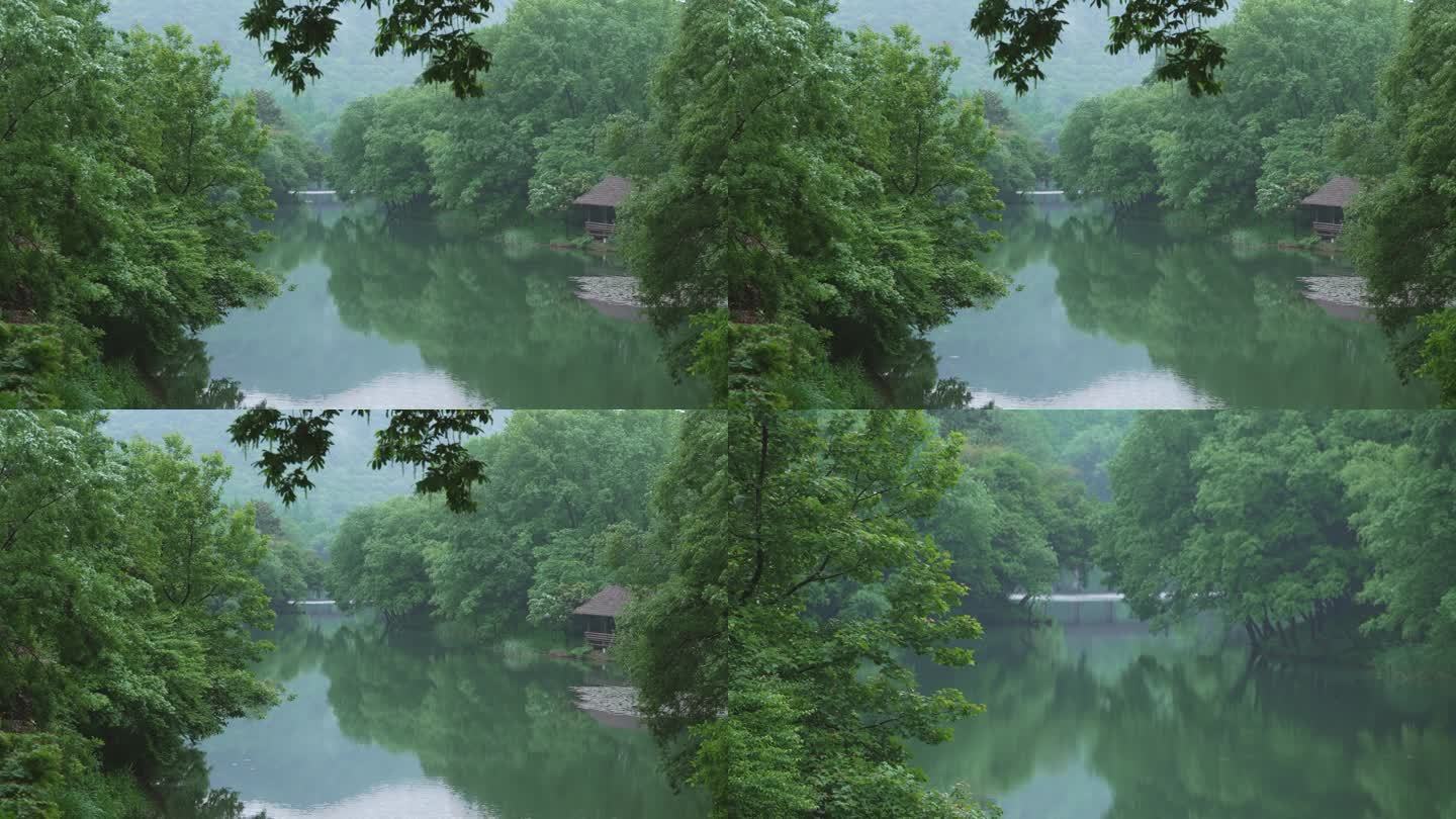 静谧西湖雨景湖面唯美倒影