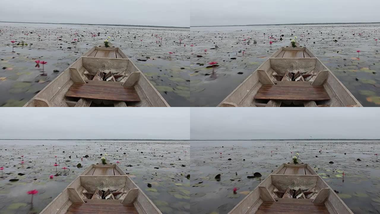 雨前，一艘船头在充满红莲花的湖上航行。