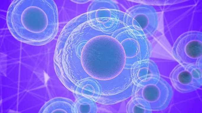 胚胎干细胞的生物学研究及其在医学中的应用3D渲染