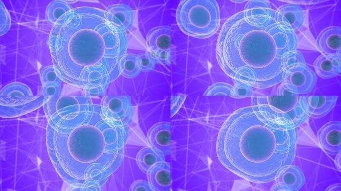 胚胎干细胞的生物学研究及其在医学中的应用3D渲染