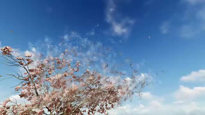 玉兰花和飞鸽对抗蓝天，粒子飞翔