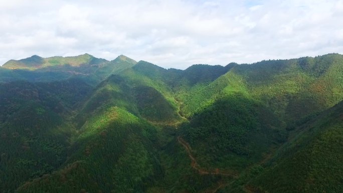 大山 青山 山区