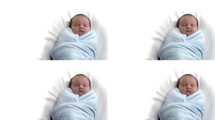 一个刚出生的婴儿裹在蓝色毯子里休息。