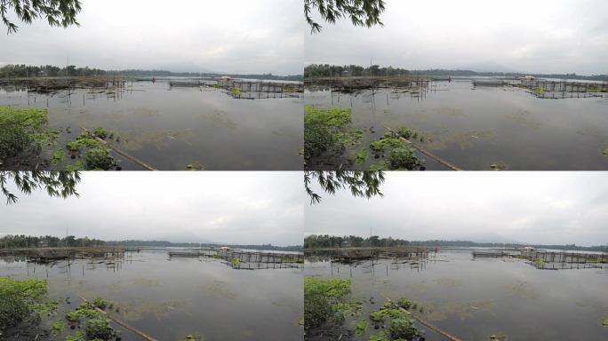 山湖中的竹子结构窒息并污染了水，导致生态系统失衡。
