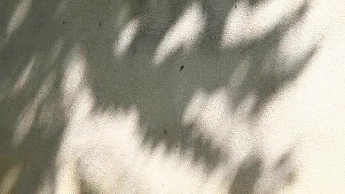 留下阴影和篱笆