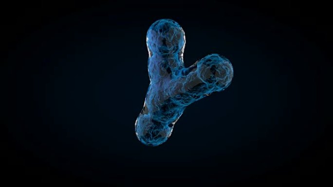 黑暗背景上的动画XY染色体。3D渲染