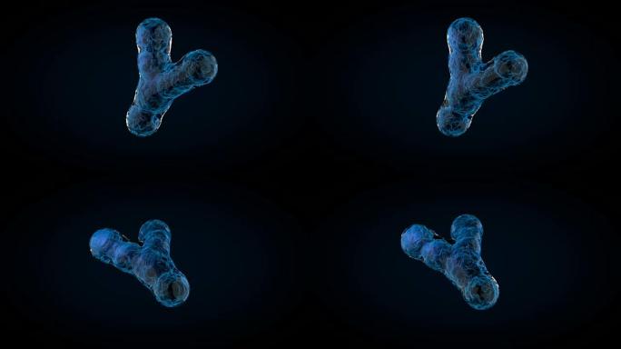 黑暗背景上的动画XY染色体。3D渲染