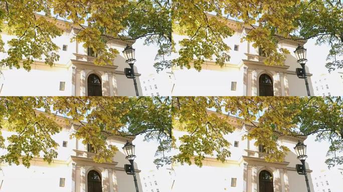 美丽的大树，秋天的黄叶在老别墅前，黄叶的树在老建筑和路灯的背景上