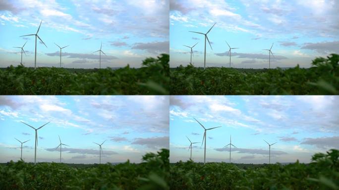 风力涡轮机农场。可持续发展，环境友好的理念。