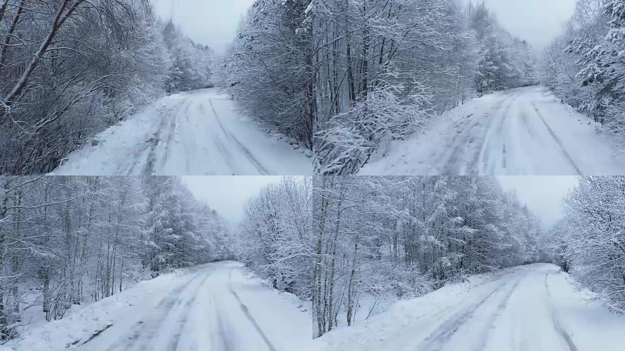 冬季森林白雪覆盖道路上的议案