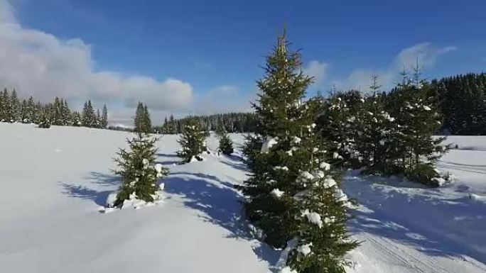 冬天高松高路的白雪皑皑的森林鸟瞰图。