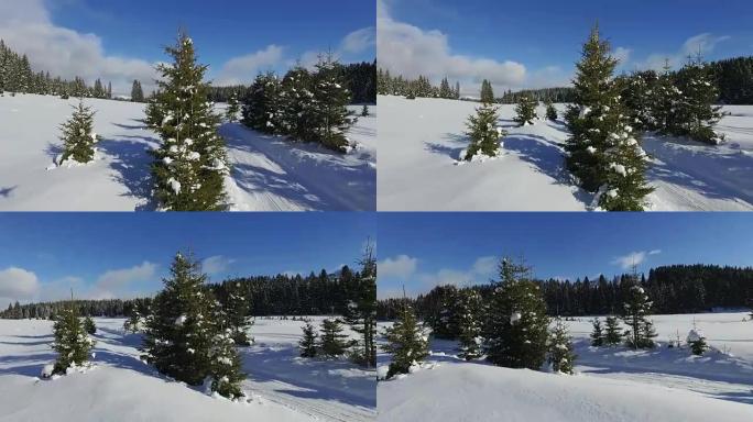 冬天高松高路的白雪皑皑的森林鸟瞰图。