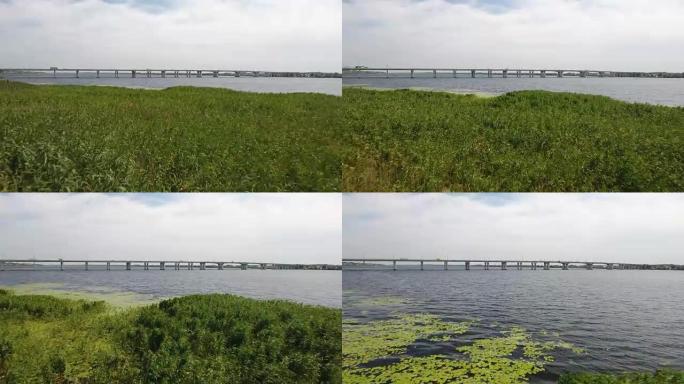 夏季晴天，第聂伯河银行的绿色湿地航拍