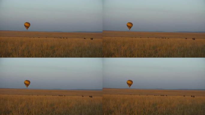 宁静的场景草原上有牛羚和热气球