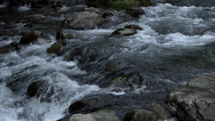 原始森林清澈溪涧流水