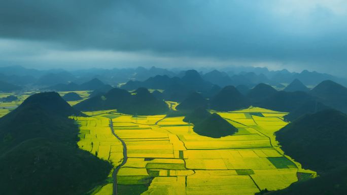 罗平万峰林油菜花延时