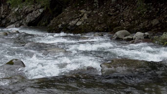 原始森林清澈溪涧流水