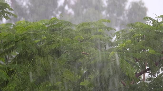 大雨磅礴