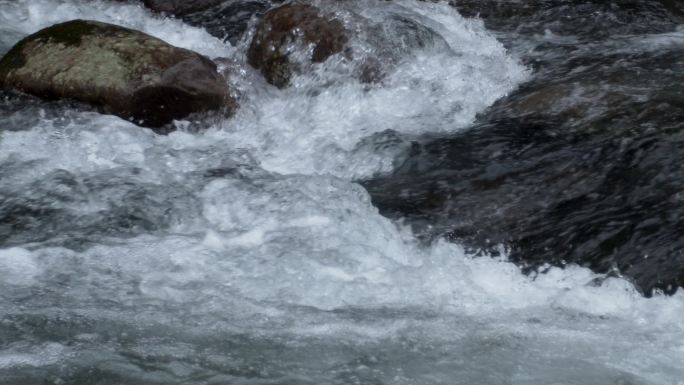 原始森林清澈溪涧流水