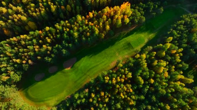 秋天的森林。森林秋天的高尔夫球场。秋天金色的森林。