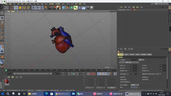 心脏刨面模型