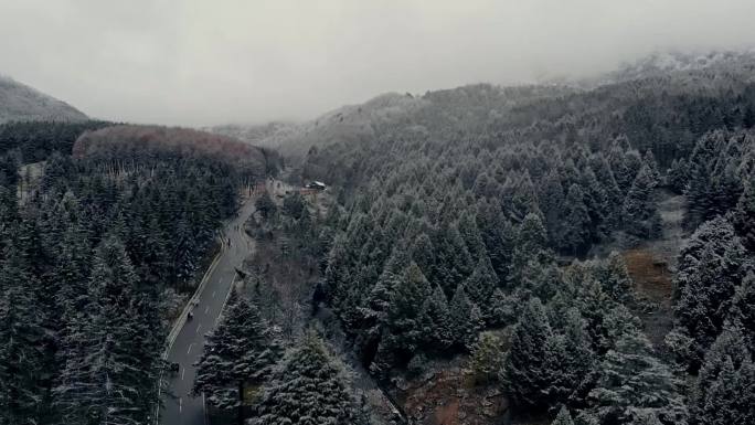 神木垒森林雪景公路