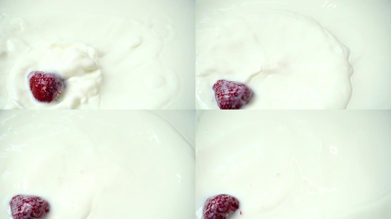 草莓的浆果落入牛奶中。慢动作。