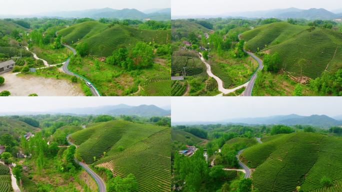 航拍信阳茶山风光