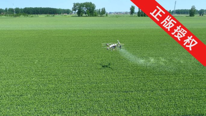 飞机打药 大疆无人机洒农药 现代农业科技