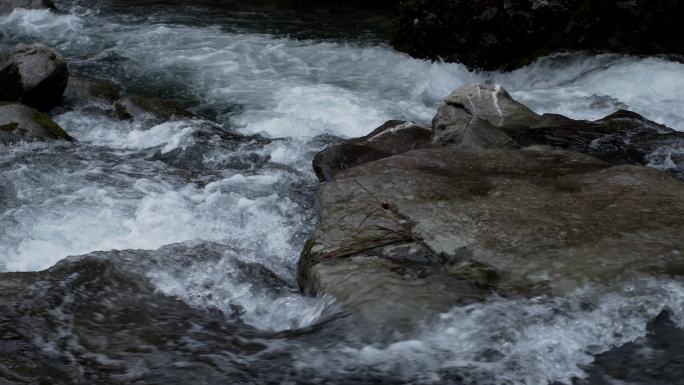 原始森林清澈溪涧流水