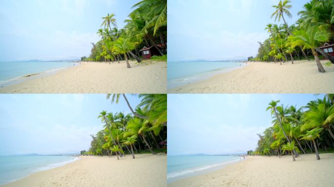 阴天多云椰树沙滩 海边椰子树 海滩