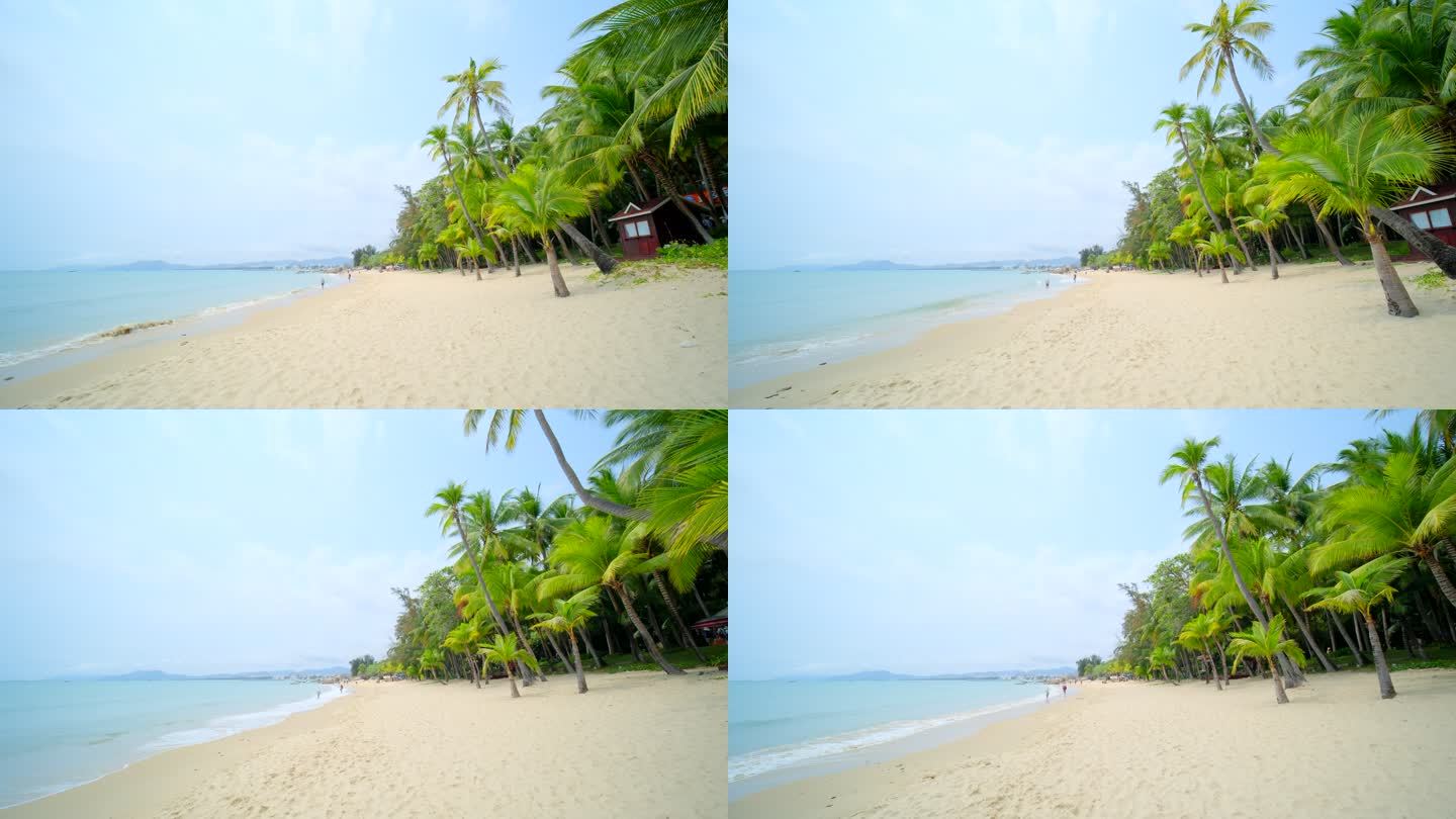阴天多云椰树沙滩 海边椰子树 海滩