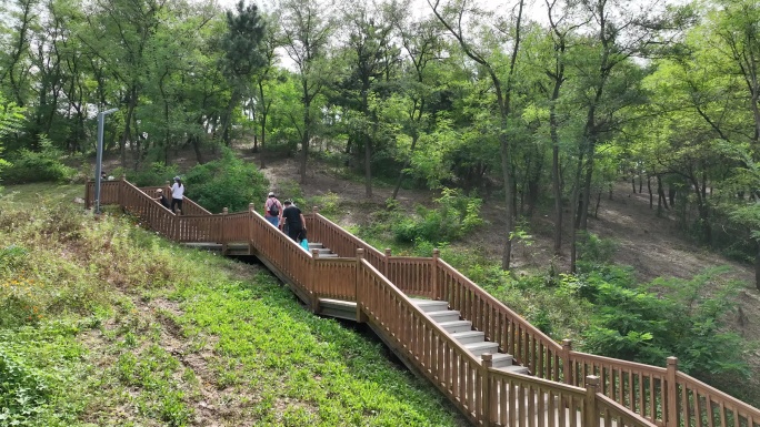 登山栈道游玩登山