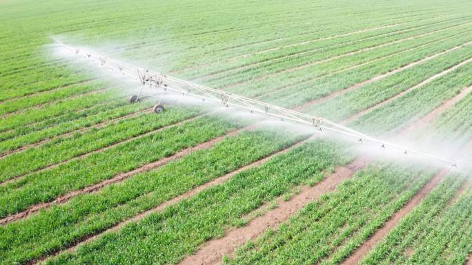 4K农田灌溉系统现代科技浇水麦地滴灌喷灌