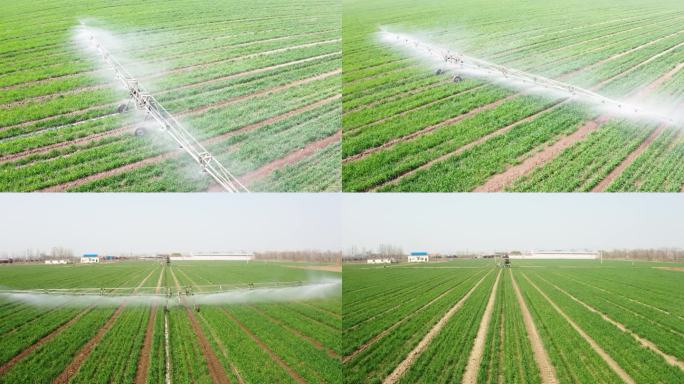 4K农田灌溉系统现代科技浇水麦地滴灌喷灌