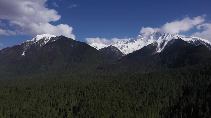 雪山下的森林