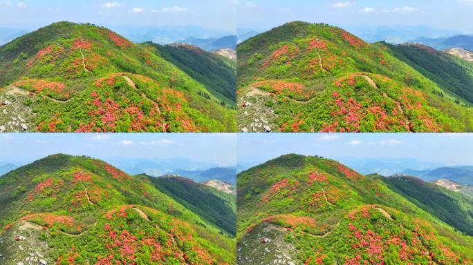 航拍浙江杭州桐庐杜鹃花 春色 乡村美景