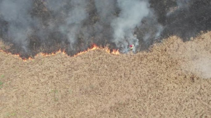 农田上的大火。谷物着火了，全球变暖危机和粮食短缺问题。