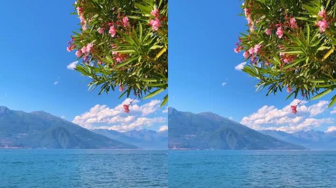 贝拉焦海岸风景如画的科莫湖景观
