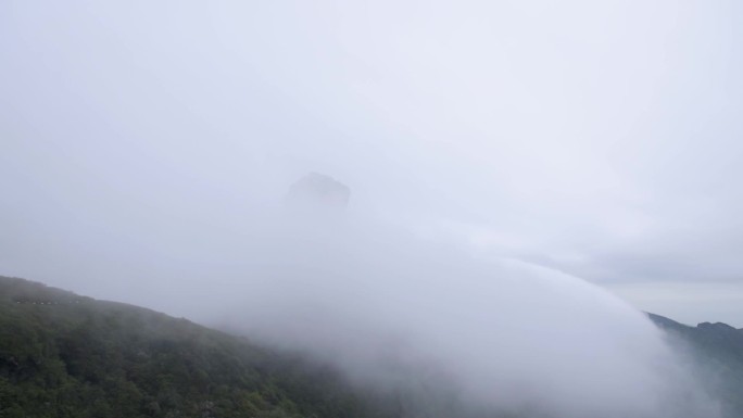 延时 梵净山 云雾 金顶 杜鹃花海 清晨