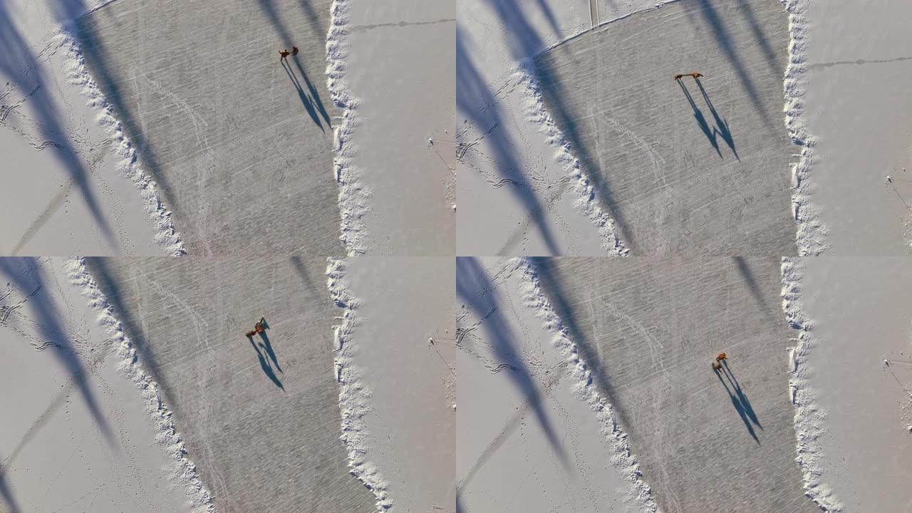 空中两个人在阳光下在冰冻的湖面上滑冰时牵手